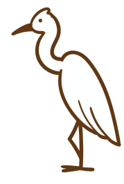 Shape Image